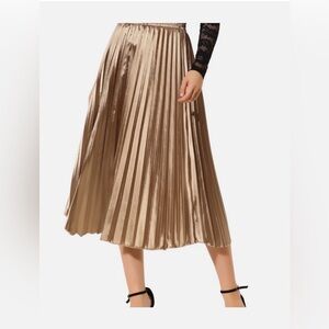 Zara Asymmetrical and Long Tan Skirt